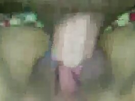 ტილას სურს ანალური ვიდეო (ტილას ალი)